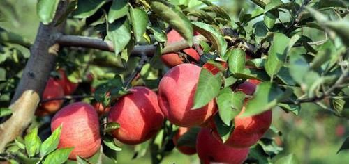  气血|气血不足的女性，多吃3种食物，气色可能一天比一天好