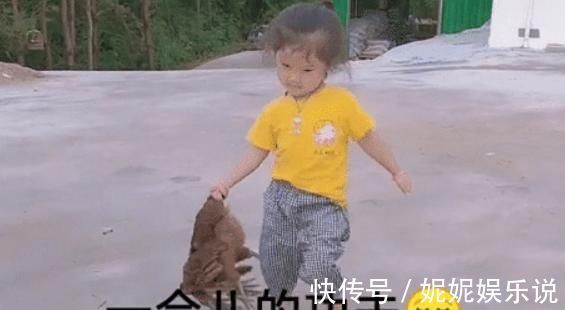 步伐|“山大王宝宝”手拎母鸡,走出六亲不认的步伐,网友:王者归来?