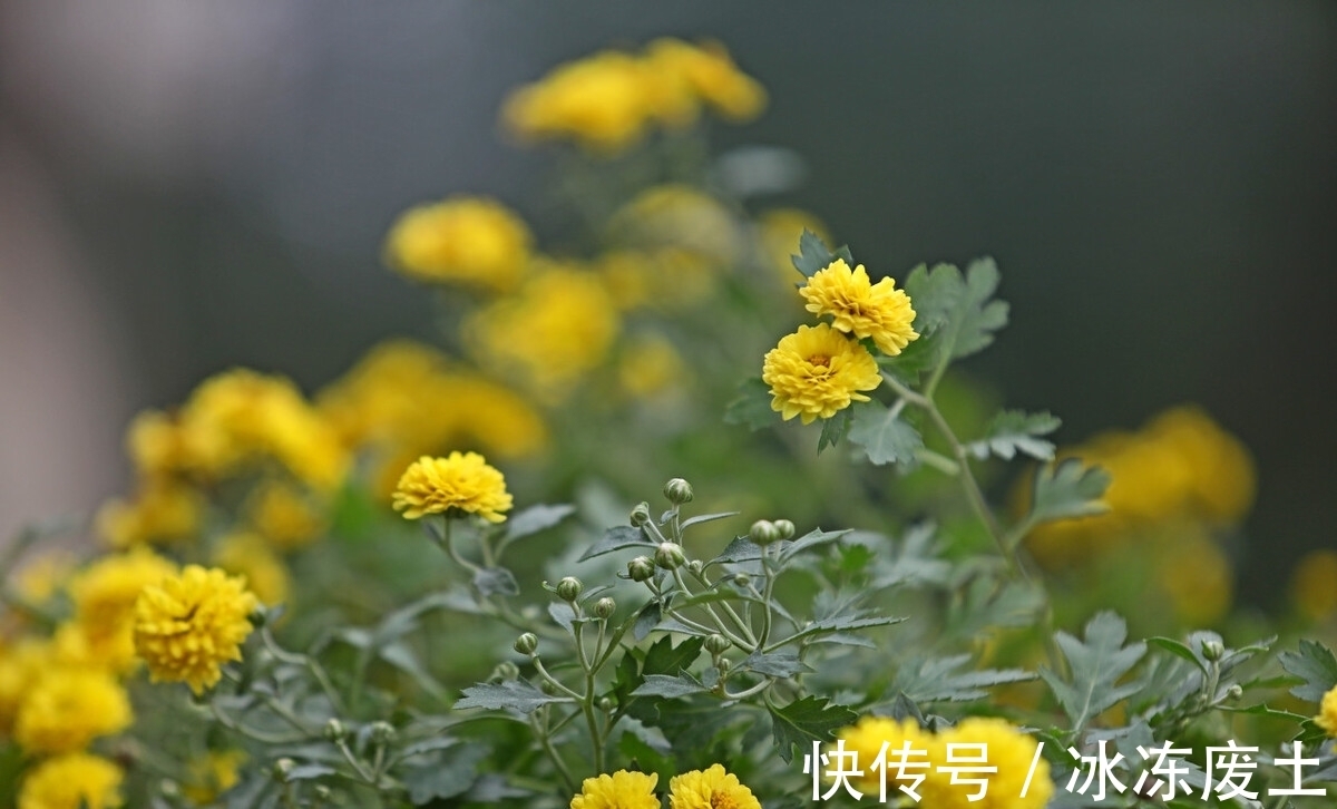 萧瑟|毛主席一首豪迈壮美的秋天词，短短44字振奋人心，值得一读再读