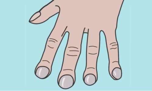 木犀草素苷|让肺部“容光焕发”的不是金银花，呼吸科： 若你爱吃，肺部清洁通透