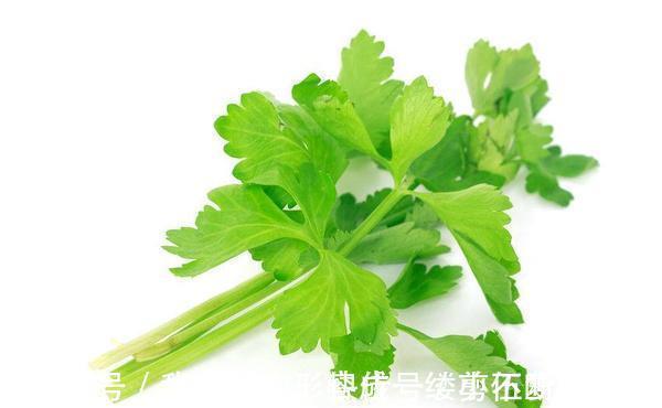 尿酸过高|尿酸过高,痛风来?六类食物或让尿酸自然“消退”,减轻肾脏负担