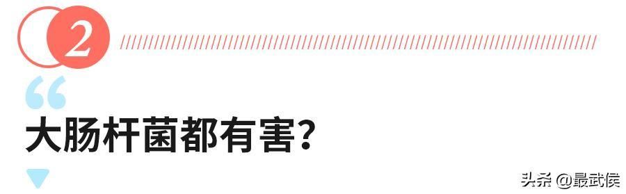 大肠杆菌|可怕！5名孩子因它食物中毒肾衰竭，夏季这个东西千万别再给孩子吃了！