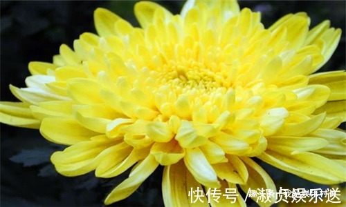 增强体质|女性到了中年多吃3种食物,清肝明目,延缓衰老,增强体质