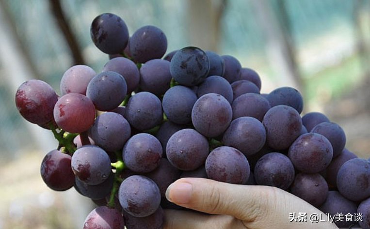 橘子|秋季，有钱没钱，这6种水果记得多吃，现在正当季，水分足口感好