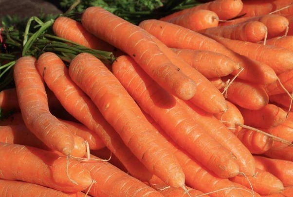 胡椒|常吃胡萝卜身体好，但胡萝卜有4个禁忌，可惜很多人并不在意