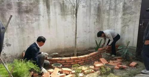 我的100㎡农家小院,种菜、养花、植树、养鱼,漂亮极了