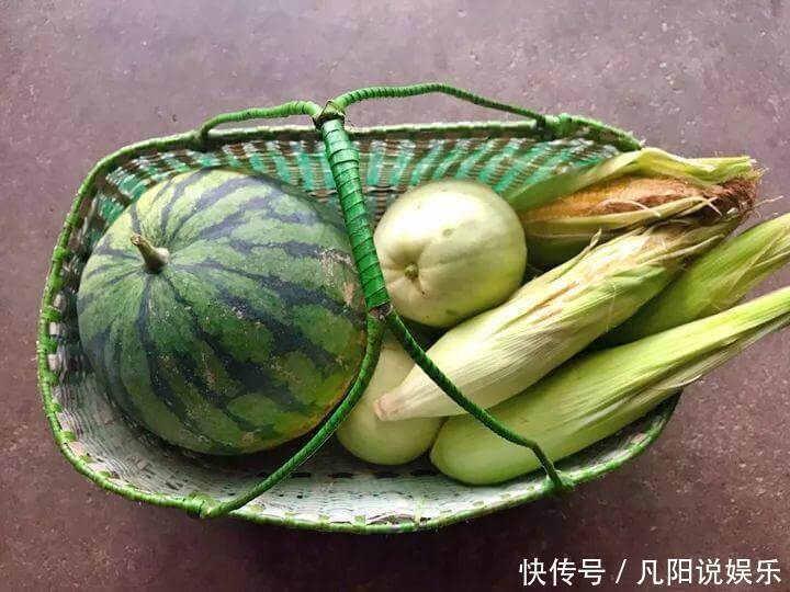 玉米棒子扔盆里,洒点水就发芽了,7天长一把绿苗!