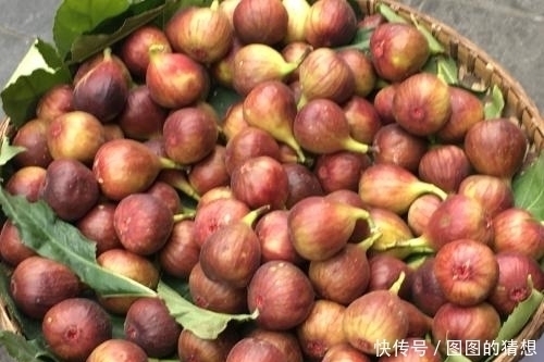 无花果|这些天然黄体酮，女生常吃更年轻，更有女人味！