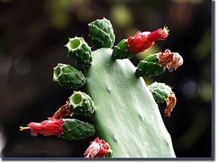 胃炎怎么办,多吃“4宝”,修复胃黏膜,现在知