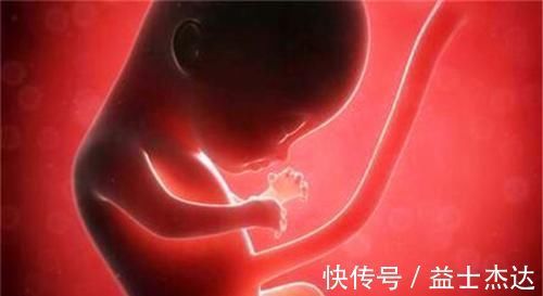 宝妈|孕妈妈在多少周开始需要数胎动?你真的知道?看他们的理解