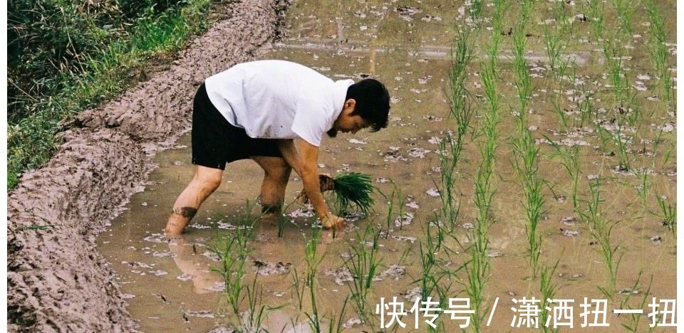 《你好生活》第三季嘉賓曝光，王冰冰朱廣權(quán)剛強(qiáng)真人秀首秀，收視率穩(wěn)了