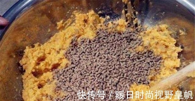 鲤鱼|夏天钓鲤鱼，这三种技巧特别重要，影响“空军”还是“爆护”