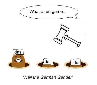 德语学习：确定名词性别的方法