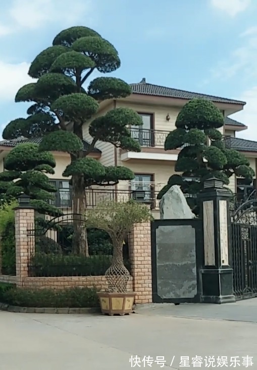 家有罗汉松，代代出富翁，这种松太贵不用买，剪个枝一插就活