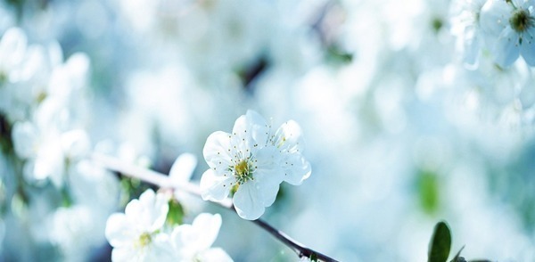 添加|妈妈注意 宝宝辅食添加的有什么讲究!妈妈注意 宝宝辅食添加的有什么讲究!