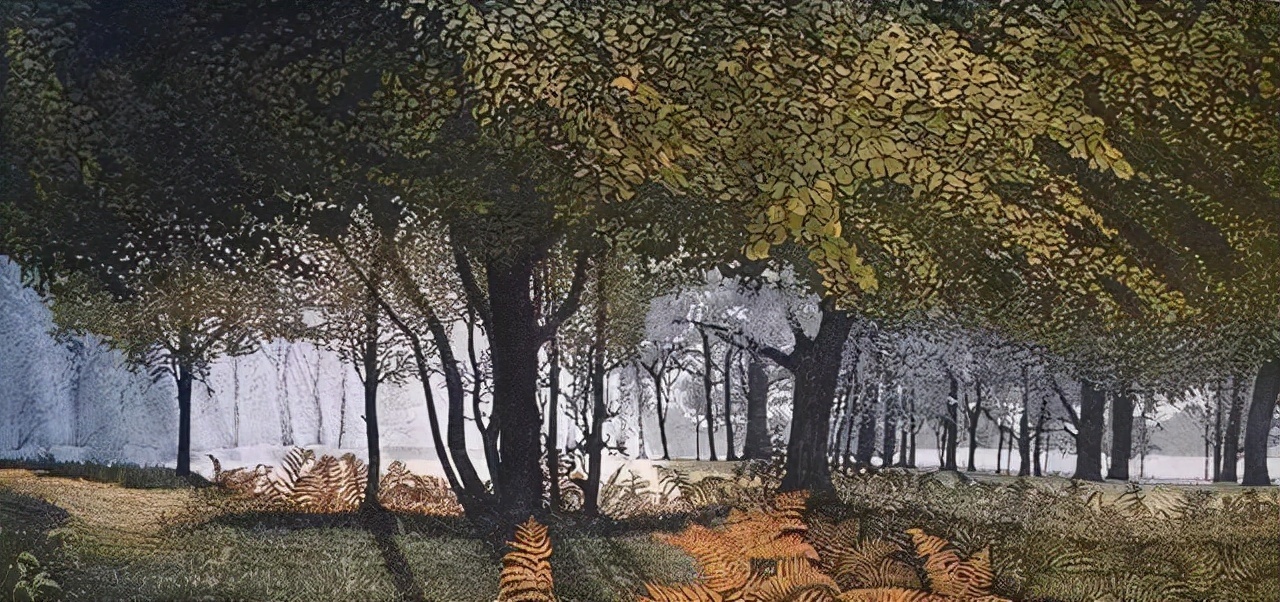 插画师&英国插画师Phil Greenwood的插画,给家里带来一丝文艺田园气息