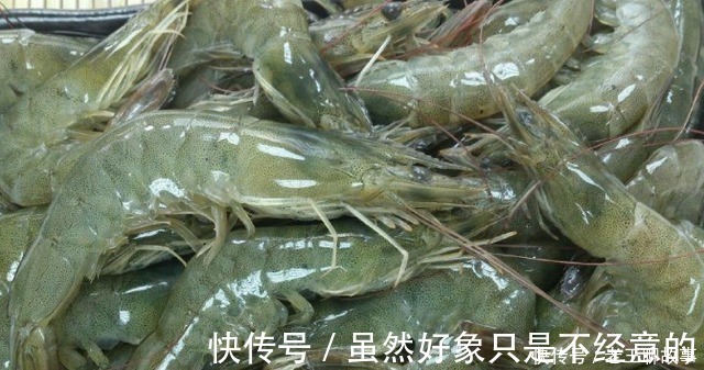 铁蛋白质|吃虾到底要不要去虾线60岁老渔民告诉你答案,很多人都被误导了