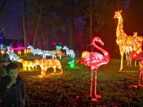 疫情|疫情期间的周末娱乐,留学菌带你逛逛野生动物园