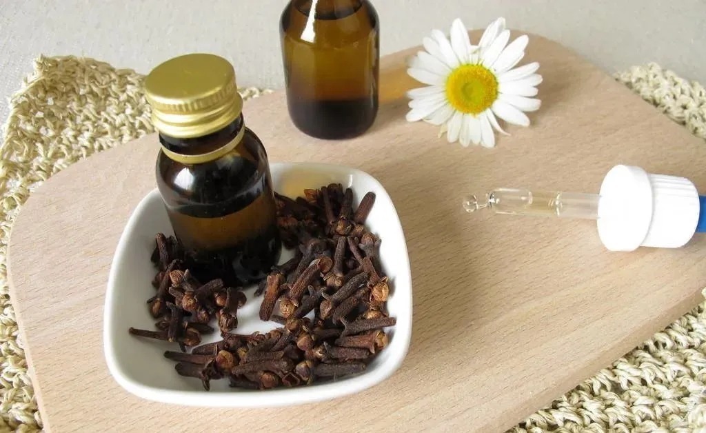 饵料|冬季钓鱼一切从“小”出发,那你就对了