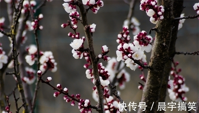 生肖|苦日子到尽头的四大生肖，幸福生活来袭，诸事顺心如意