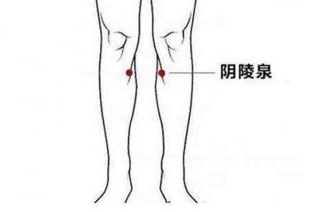 汗疱疹|手脚总起小水泡,奇痒难忍,警惕:是身体这个“器官”出问题了