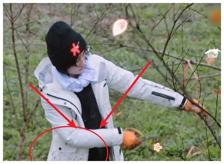 《向往5》节目录制有多真实，看到嘉宾的衣服，是否造假很明了