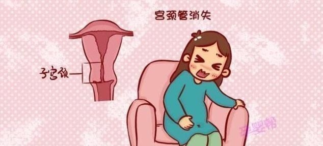 临产|孕妈身体这个部位消失,那就说明快生了,别傻等预产期