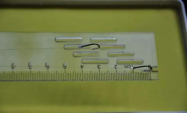 总是半路跑鱼？不要担心，你这样调子线和钩距试试！