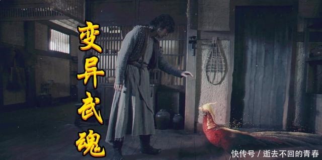 斗罗真人版的剧情越来越“狗血”,唐三整集研究鸡屎,野鸡变凤凰