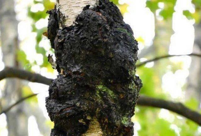 莴苣|高血糖“最怕”这几种食物,坚持每天吃,慢慢逼走糖尿病