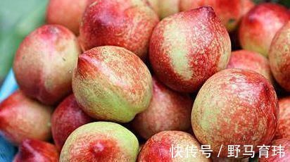 营养成分|女性想要皮肤好,推荐常吃3种食物,美容养颜,滋润身体