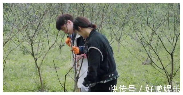 张艺兴|张子枫问杨紫 去你餐厅吃饭， 免费行吗？ 杨紫幽默回复显情商