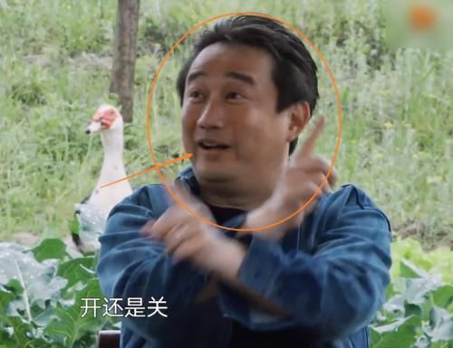 杨紫自称《向往》忠实观众，对节目游戏却不清楚，还叫错小H名字