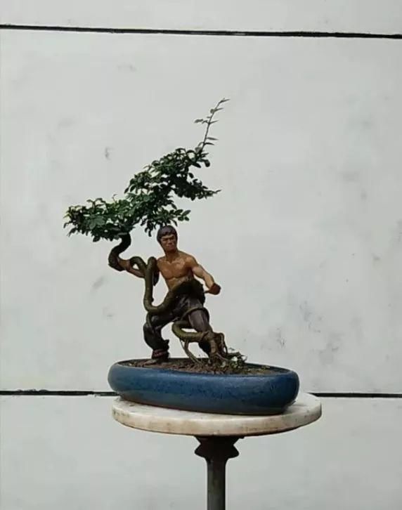 盆景玩成这样，真无语……