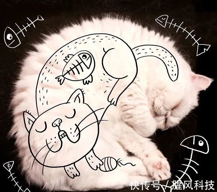 插画#拥有“魔法”的插画家,用几笔涂鸦,将沉闷的照片变得趣味十足