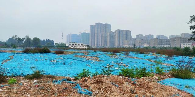 开封|八宗地块连续出让,开封楼市拒绝躺平!