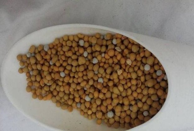 盆里扔2样东西,养花10年不烂根,叶子油光瓦亮,花苞挂满枝头