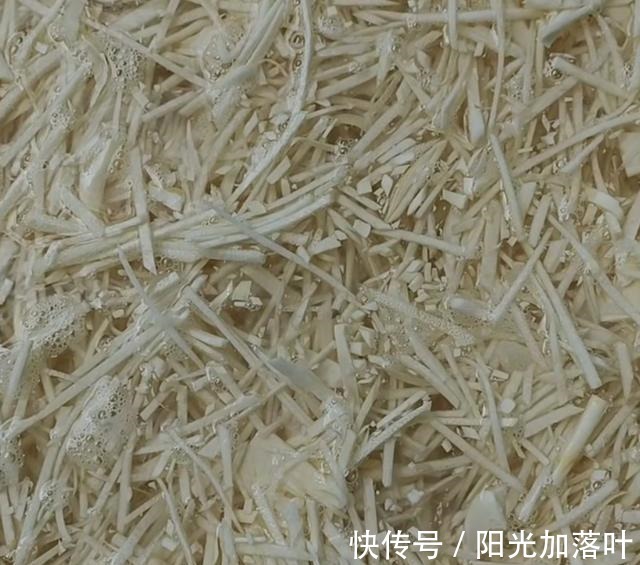 美食|农家美味,下饭开胃美食!