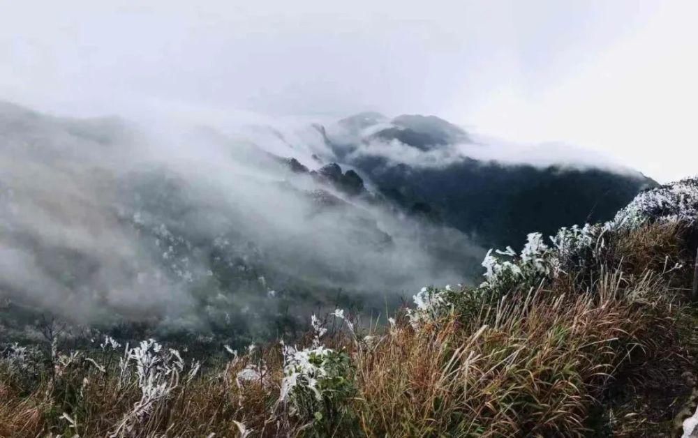 武鸣大明山化身“冰雪世界”， 雾凇云瀑美如仙境！