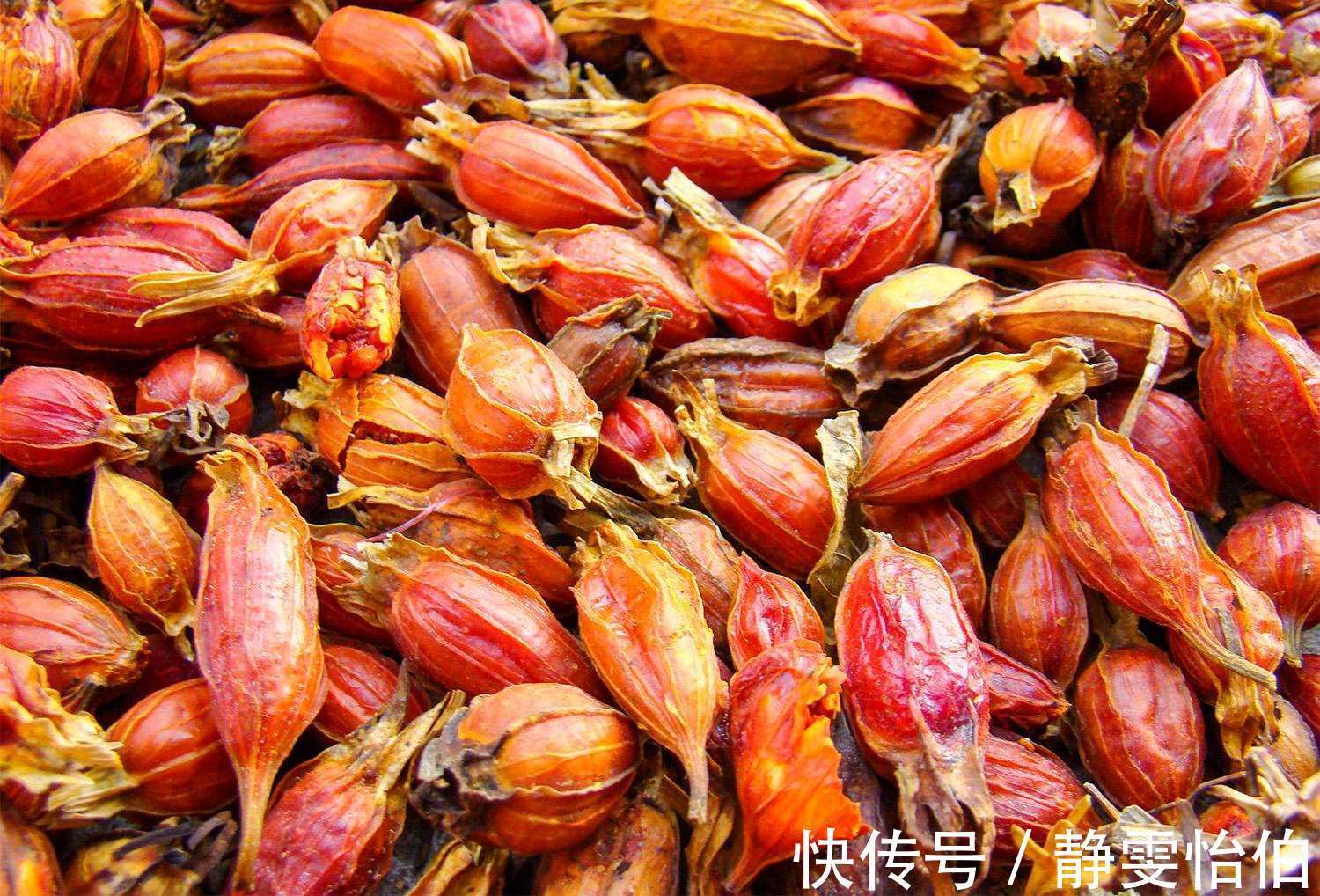 黑发|女性常吃此1物，补血、黑发、抗衰老，妇科病也不来扰