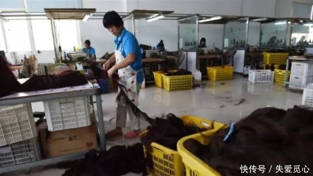 我们剪掉的头发，并没有烧掉，最终是送去了这个地方