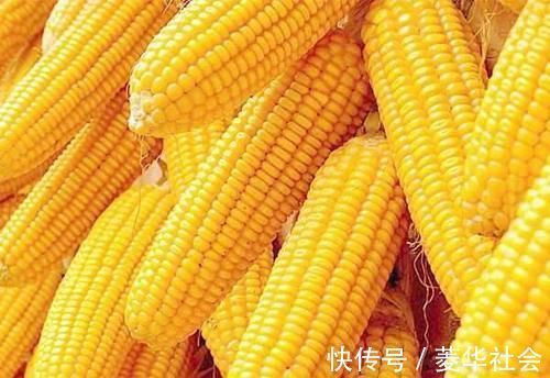 膳食纤维|糖尿病最怕的8个主食,升糖慢、饱腹强,营养更全