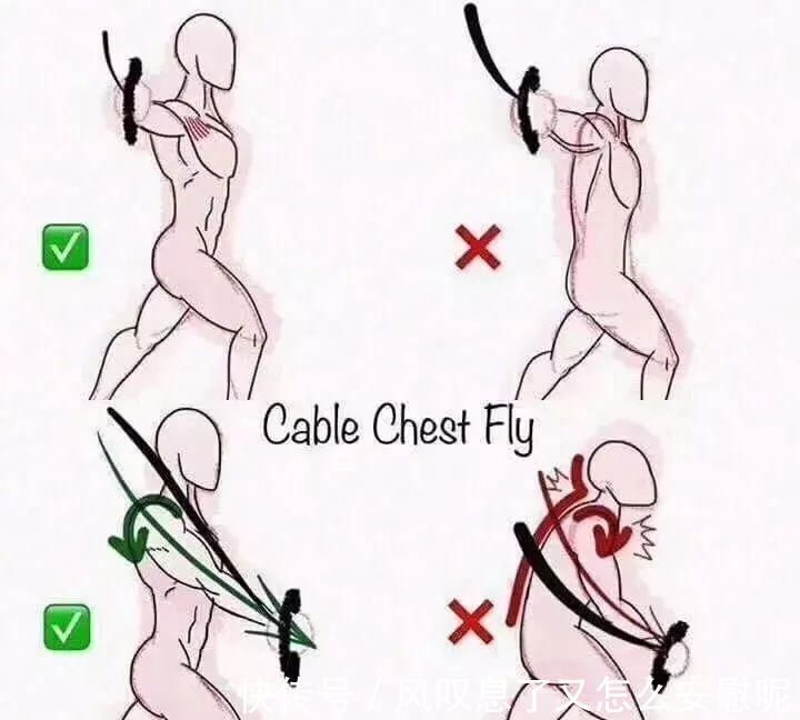 动作|健身健身房最容易做错的8个动作,动作正确效果翻倍