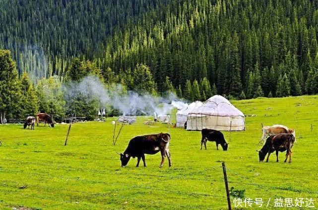 伊犁哈萨克自治州|新疆最美的草原，景色好看的一塌糊涂你去过几个