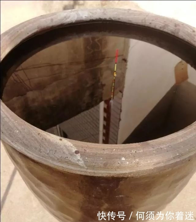 鱼儿|冬季鱼口轻,浮漂调钓很重要,这两点不考虑有口也没信号