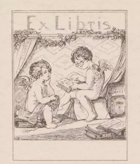 一口气|马未都跨国捡漏,一口气将13万张纸上蝴蝶一锅端,卖主依依不舍!