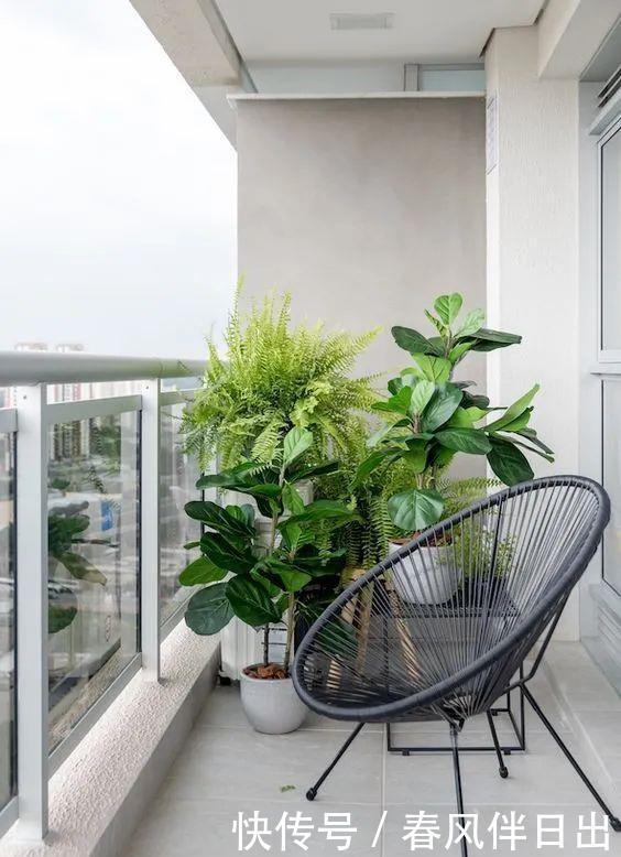 过上悠哉的小日子,不一定非要院子,有个阳台,一样可以养花种菜
