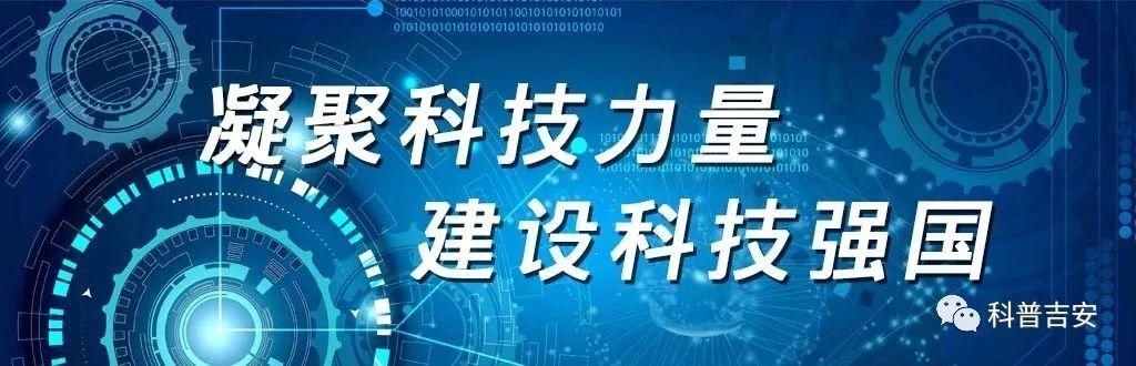 药店门口为什么总是放个秤？是时候知道真相了