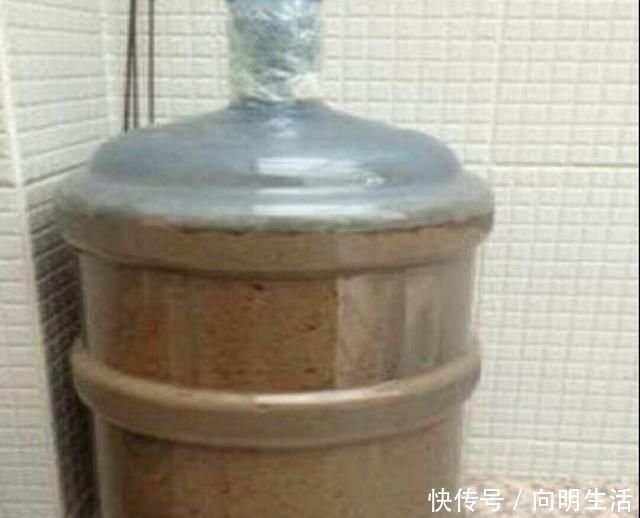 枝繁叶茂|什么啤酒水、淘米水都不如一种水,比花肥还管用,养啥花都爆盆