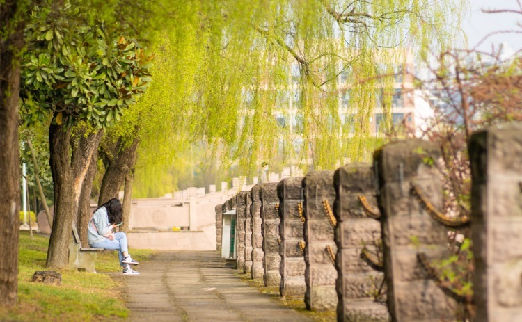 四川一所老牌重点大学，却被校名耽误，常被人认为是民办大学